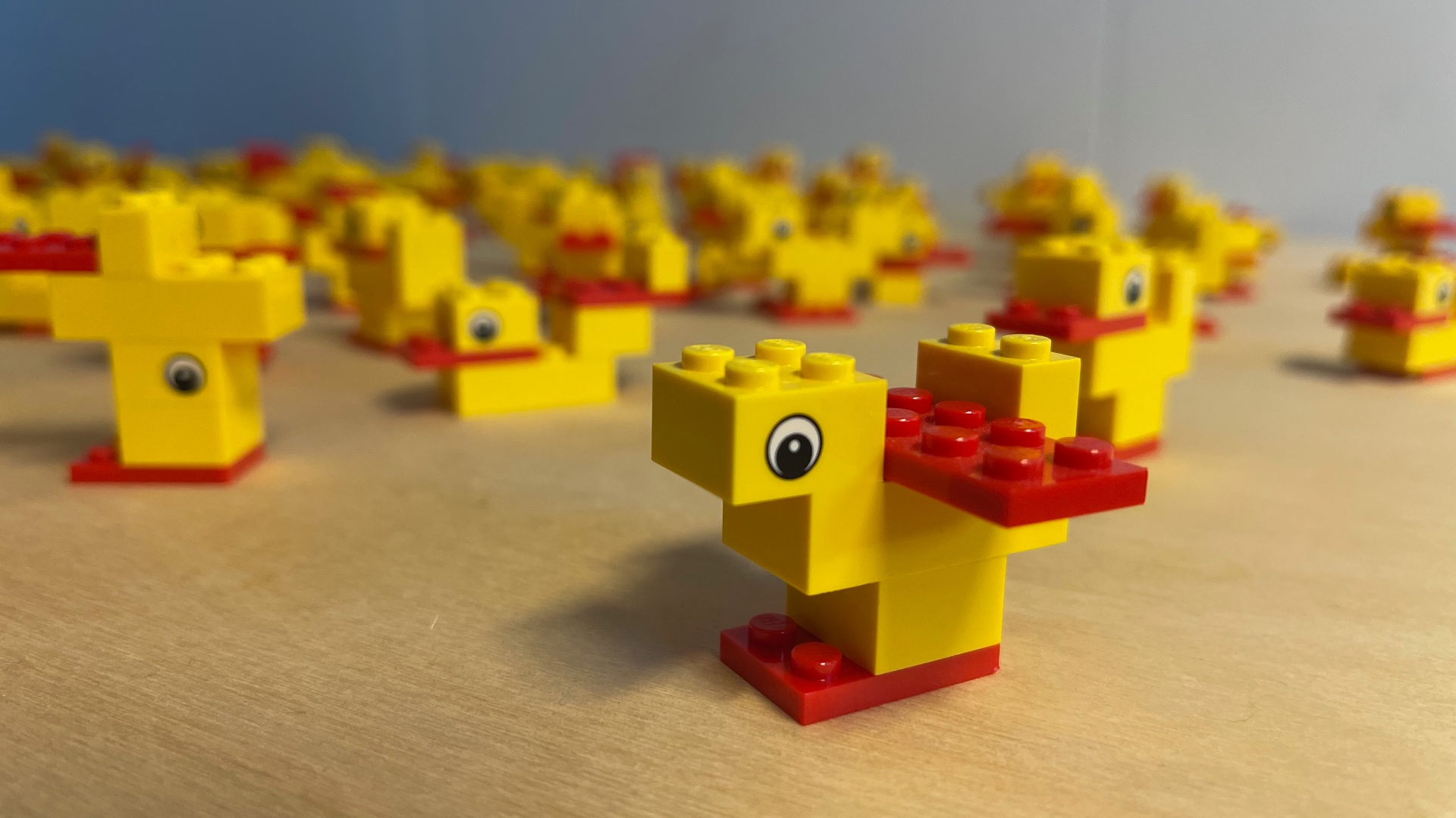 Rows of simple four-brick models built by participants during the opening skills-building exercise
